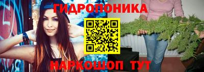 гашишное масло Сланцы
