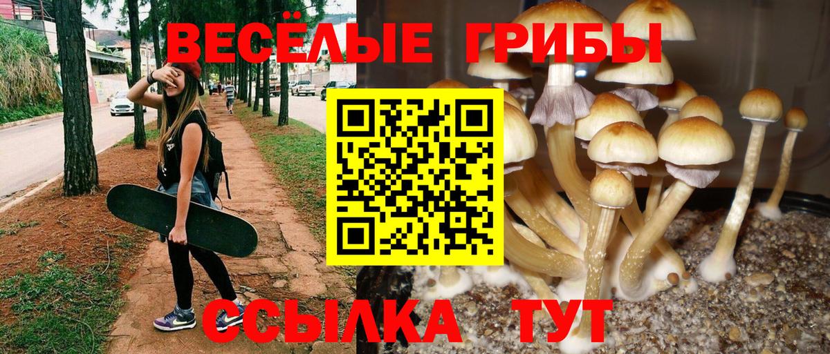 Псилоцибиновые грибы Magic Shrooms Кумертау