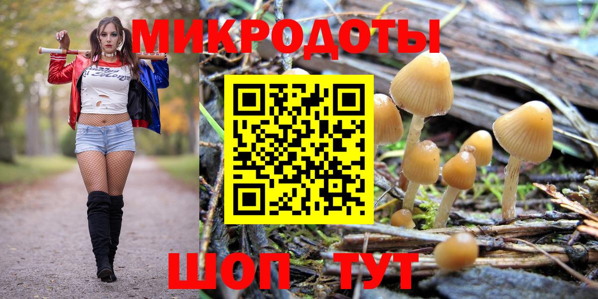Галлюциногенные грибы GOLDEN TEACHER  Вход с VPN  Кумертау  Галлюциногенные грибы MAGIC MUSHROOMS 
